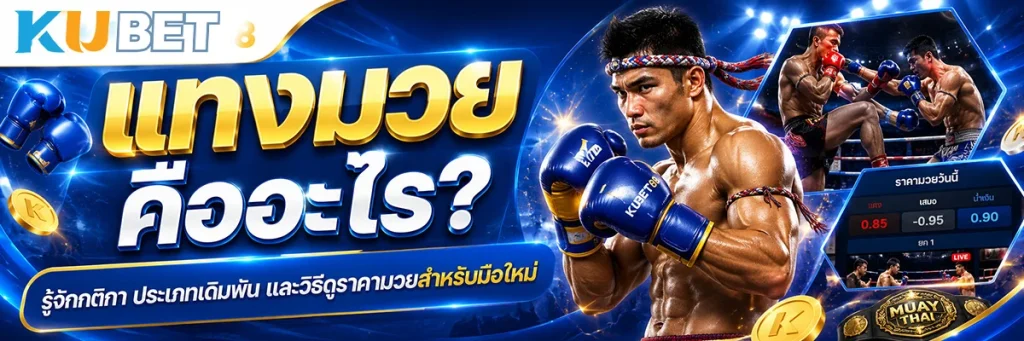 แทงมวย คืออะไร?