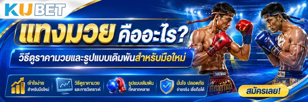 แทงมวย คืออะไร? วิธีดูราคามวยและรูปแบบเดิมพันสำหรับมือใหม่